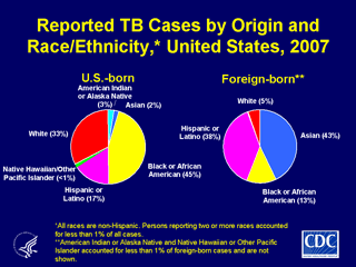 Slide 13: Reported TB Cases by Origin and Race/Ethnicity, United States, 2007. Click here for larger image