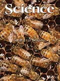 The cover of SCIENCE magazine