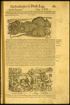 Dioscorides. Acerca de la materia medicinal, y de los venenos mortiferos. Salamanca: Mathias Gast., 1566.