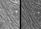 Ganymede - Comparison of Voyager and Galileo Resolution