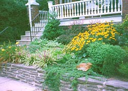 House with fence