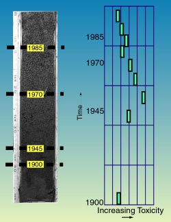 Core—photograph and analysis