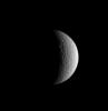 Crescent Rhea