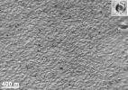 Mars Polar Lander Site Surface Details