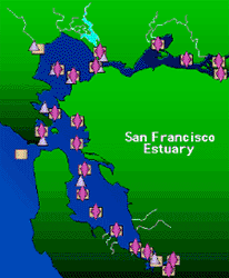 San Francisco Estuary