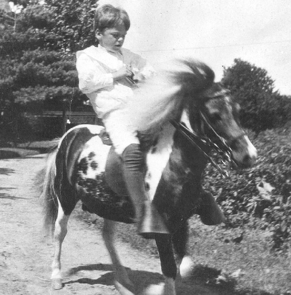 Quentin Roosevelt, the president's youngest son, rides his pony Algonquin around Sagamore.