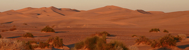 The Imperial Dunes (BLM) of southern California were too difficult to cross, so Anza skirted them to the south.