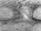 Dynamics of Jupiter's long-lived White Ovals