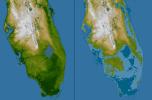 Southern Florida, Shaded Relief and Colored Height