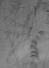 This MOC image shows streaks and scratch marks made in a thin coating of dust on the martian surface in the southern hemisphere  made by passing dust devils during the summer season