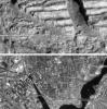 Very High Resolution Image of Icy Cliffs on Europa and Similar Scales on Earth (Providence, RI)