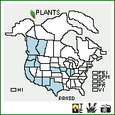 Distribution of Prunus virginiana L. var. demissa (Nutt.) Torr.. . Image Available. 