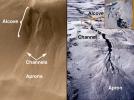 Evidence for Recent Liquid Water on Mars: Basic Features of Martian Gullies