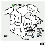 Distribution of Salvia serotina L.. . Image Available. 