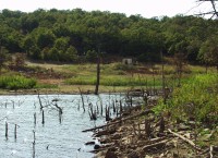 View of a tank battery, injection well site, and brine pit (on the right in the picture) at Site B, Skiatook Lake, Okla. An older tank location is on the left in the picture. Salt scars extend from both sites to the lake