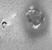 Camaxtli Patera, An Active Volcanic Center on Io