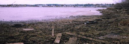 Shoreline of East Bay at the White Lake Tannery Site. In 2003 sediment remediation occurred at the adjacent Tannery Bay where a majority of the contaminants were located and 83,000 cubic yards were removed