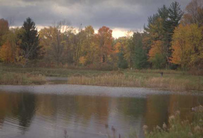 There are still fragments of viable habitat remaining in the Rouge River watershed