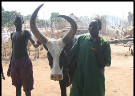 Photo: Bor Dinka IDPs, traditional cattle herders, face resistance from agrarian local communities.