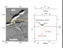 MGS Mars Orbiter Laser Altimeter (MOLA) - Mars/Earth Relief Comparison