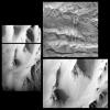Western Tithonium Chasma/Ius Chasma, Valles Marineris