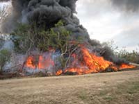 Close view of fire with environmental effects