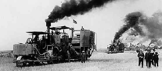 Harvesting with steam engine tractors.