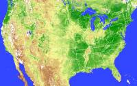 Greenness of the Conterminous U.S.