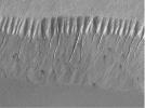 Evidence for Recent Liquid Water on Mars: Gullies at 70°S in Polar Pit Walls