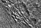 Fractured Craters on Ganymede
