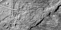 Small Craters on Europa