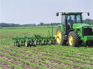 Row Crop Cultivator