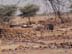 Photo: Burned village - Darfur, Sudan