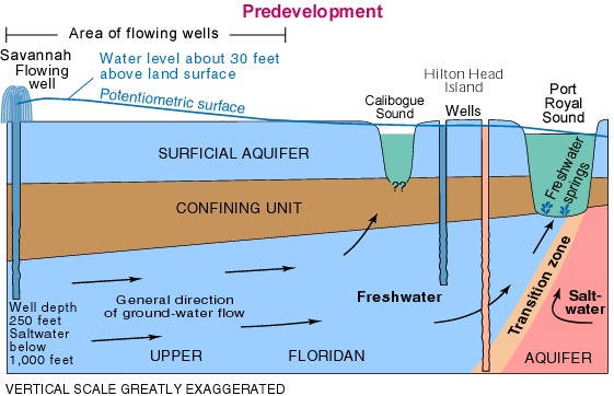 Figure showing predevelopment situation at Hilton Head Island, South Carolina