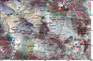 Landsat mosaic with roads and towns 