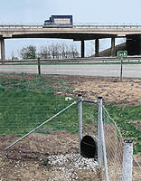 Photo of a badger tunnel