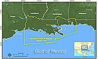 Northern Gulf of Mexico Project study region covering coastal margins of Louisianna, Mississippi, and Alabama.