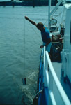 Collecting a water sample (grab sample) for the reconnaissance of herbicide concentrations in streams.