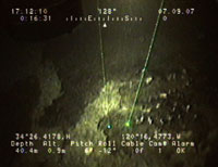 still image from sea-floor video showing a recent tar seep at 40 meters water depth