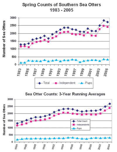 Top graph shows number of sea otters counted in California spring surveys since 1983.  Bottom graph shows number of sea otters counted during spring surveys since 1983, plotted as 3-year running averages.