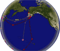 Bar-tailed Godwit migration path
