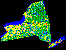 NLCD 92 classification (State of New York)