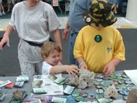 A typical sample of Florida karst rock attracts an inquisitive youngster.