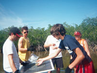 Students conduct sampling