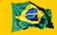 Bandeira brasileira. Cabeçalho do Governo Federal.
