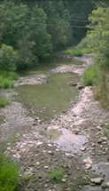 Intermittant Stream - photo by Ohio EPA