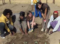 some students planting vegetables