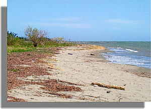 Photo - View of a white sand beach and light blue sky.