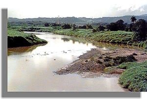 Photo - View of a muddy river.