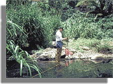 Photo of employee making a wading streamflow measurment